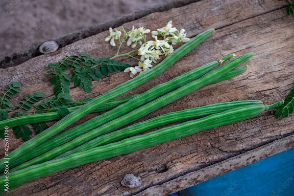 Drumstick (Moringa Pods)